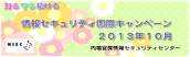NISC_2013010banner
