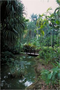 botanical garden 