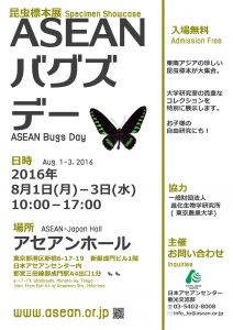 フライヤー