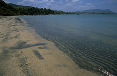 黒砂海岸