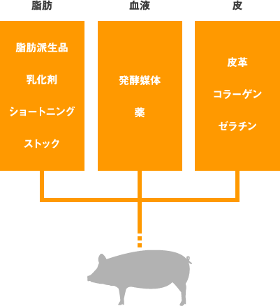 HALAM　禁止された食材